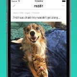 Reddit - közösség ( iPhone alkalmazások )