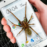 Pók telefon vicc (Android alkalmazások)