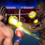 Punch Boxing 3D – verekedős játék ( Android alkalmazás )